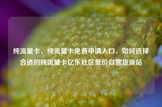 纯流量卡，纯流量卡免费申请入口，如何选择合适的纯流量卡亿乐社区低价自营货源站