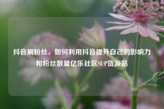 抖音刷粉丝,如何利用抖音提升自己的影响力和粉丝数量亿乐社区SUP货源站