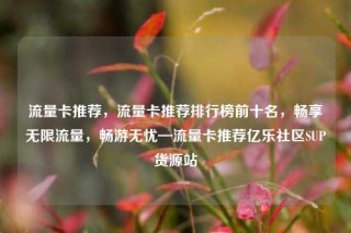 流量卡推荐，流量卡推荐排行榜前十名，畅享无限流量，畅游无忧—流量卡推荐亿乐社区SUP货源站
