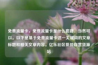 免费流量卡,免费流量卡是什么套路,当然可以。以下是基于免费流量卡这一关键词的文章标题和相关文章内容。亿乐社区低价自营货源站