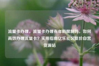 流量卡办理,流量卡办理有年龄限制吗,如何高效办理流量卡?实用指南亿乐社区低价自营货源站