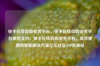 快手在线自助业务平台,快手在线自助业务平台微信支付,快手在线自助业务平台,高效便捷的智能解决方案亿乐社区SUP货源站