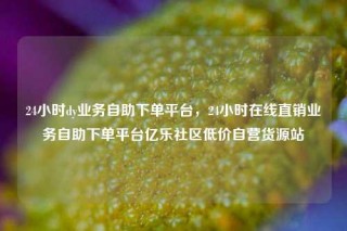 24小时dy业务自助下单平台,24小时在线直销业务自助下单平台亿乐社区低价自营货源站
