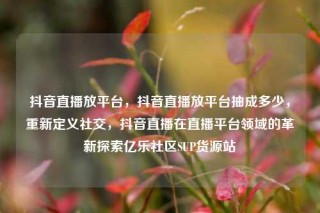 抖音直播放平台,抖音直播放平台抽成多少,重新定义社交,抖音直播在直播平台领域的革新探索亿乐社区SUP货源站