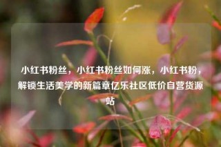 小红书粉丝,小红书粉丝如何涨,小红书粉,解锁生活美学的新篇章亿乐社区低价自营货源站