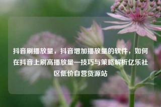 抖音刷播放量，抖音增加播放量的软件，如何在抖音上刷高播放量—技巧与策略解析亿乐社区低价自营货源站