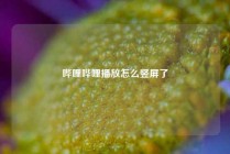 哔哩哔哩播放怎么竖屏了