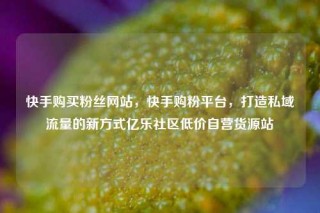 快手购买粉丝网站,快手购粉平台,打造私域流量的新方式亿乐社区低价自营货源站