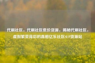 代刷社区,代刷社区低价货源,揭秘代刷社区,虚假繁荣背后的真相亿乐社区SUP货源站
