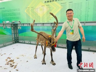 长春农博会观察：科技小院为乡村振兴聚智赋能