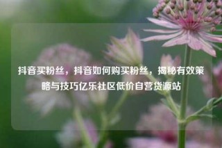 抖音买粉丝,抖音如何购买粉丝,揭秘有效策略与技巧亿乐社区低价自营货源站