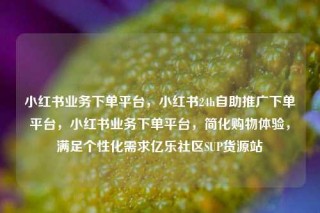 小红书业务下单平台,小红书24h自助推广下单平台,小红书业务下单平台,简化购物体验,满足个性化需求亿乐社区SUP货源站