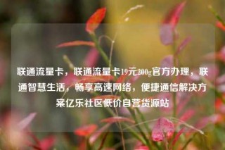 联通流量卡,联通流量卡19元200g官方办理,联通智慧生活,畅享高速网络,便捷通信解决方案亿乐社区低价自营货源站
