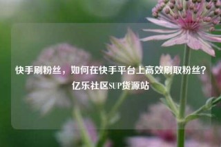 快手刷粉丝,如何在快手平台上高效刷取粉丝?亿乐社区SUP货源站