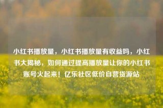 小红书播放量,小红书播放量有收益吗,小红书大揭秘,如何通过提高播放量让你的小红书账号火起来!亿乐社区低价自营货源站