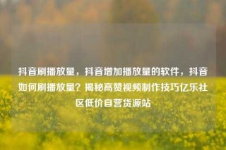 抖音刷播放量,抖音增加播放量的软件,抖音如何刷播放量?揭秘高赞视频制作技巧亿乐社区低价自营货源站