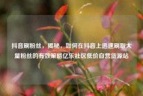 抖音刷粉丝，揭秘，如何在抖音上迅速刷取大量粉丝的有效策略亿乐社区低价自营货源站