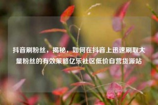 抖音刷粉丝,揭秘,如何在抖音上迅速刷取大量粉丝的有效策略亿乐社区低价自营货源站