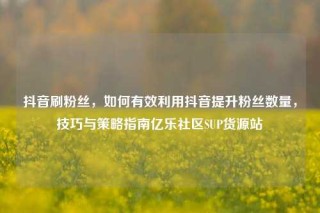 抖音刷粉丝,如何有效利用抖音提升粉丝数量,技巧与策略指南亿乐社区SUP货源站
