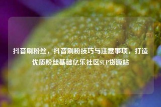 抖音刷粉丝,抖音刷粉技巧与注意事项,打造优质粉丝基础亿乐社区SUP货源站