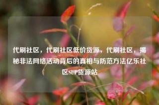 代刷社区,代刷社区低价货源,代刷社区,揭秘非法网络活动背后的真相与防范方法亿乐社区SUP货源站