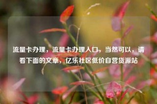 流量卡办理,流量卡办理入口,当然可以,请看下面的文章,亿乐社区低价自营货源站