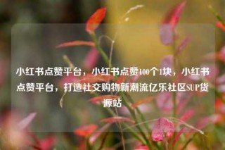 小红书点赞平台,小红书点赞100个1块,小红书点赞平台,打造社交购物新潮流亿乐社区SUP货源站