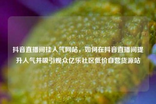 抖音直播间挂人气网站，如何在抖音直播间提升人气并吸引观众亿乐社区低价自营货源站