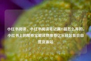 小红书阅读，小红书阅读笔记满15篇怎么弄的，小红书上的那些宝藏读物推荐亿乐社区低价自营货源站