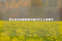 独立站点流量数据可通过什么工具展开