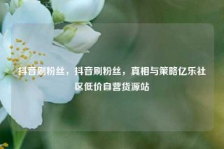 抖音刷粉丝，抖音刷粉丝，真相与策略亿乐社区低价自营货源站