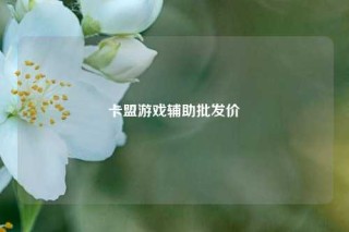 卡盟游戏辅助批发价