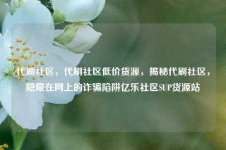 代刷社区,代刷社区低价货源,揭秘代刷社区,隐藏在网上的诈骗陷阱亿乐社区SUP货源站
