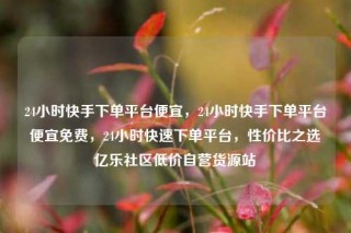 24小时快手下单平台便宜,24小时快手下单平台便宜免费,24小时快速下单平台,性价比之选亿乐社区低价自营货源站