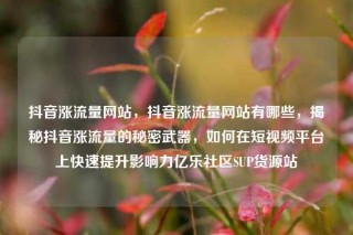 抖音涨流量网站,抖音涨流量网站有哪些,揭秘抖音涨流量的秘密武器,如何在短视频平台上快速提升影响力亿乐社区SUP货源站