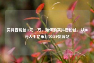 买抖音粉丝10元一万,如何购买抖音粉丝,从10元入手亿乐社区SUP货源站
