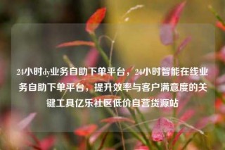 24小时dy业务自助下单平台,24小时智能在线业务自助下单平台,提升效率与客户满意度的关键工具亿乐社区低价自营货源站