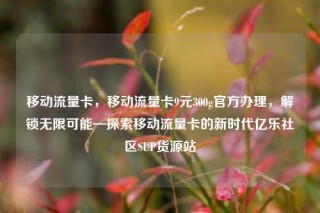移动流量卡，移动流量卡9元300g官方办理，解锁无限可能—探索移动流量卡的新时代亿乐社区SUP货源站