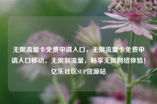 无限流量卡免费申请入口，无限流量卡免费申请入口移动，无限制流量，畅享无限网络体验！亿乐社区SUP货源站