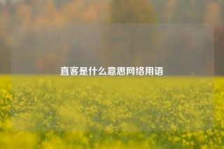 直客是什么意思网络用语