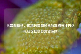抖音刷粉丝,揭秘抖音刷粉丝的真相与技巧亿乐社区低价自营货源站