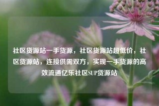 社区货源站一手货源,社区货源站超低价,社区货源站,连接供需双方,实现一手货源的高效流通亿乐社区SUP货源站