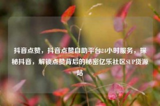 抖音点赞,抖音点赞自助平台24小时服务,探秘抖音,解锁点赞背后的秘密亿乐社区SUP货源站