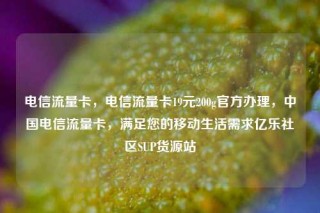 电信流量卡，电信流量卡19元200g官方办理，中国电信流量卡，满足您的移动生活需求亿乐社区SUP货源站