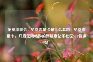 免费流量卡，免费流量卡是什么套路，免费流量卡，开启无限畅游的新篇章亿乐社区SUP货源站