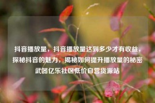 抖音播放量,抖音播放量达到多少才有收益,探秘抖音的魅力,揭秘如何提升播放量的秘密武器亿乐社区低价自营货源站