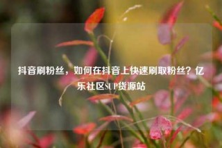 抖音刷粉丝,如何在抖音上快速刷取粉丝?亿乐社区SUP货源站