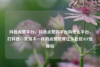 抖音点赞平台,抖音点赞的平台叫什么平台,打抖音,发现不一样的点赞世界亿乐社区SUP货源站