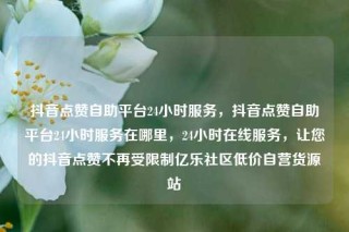 抖音点赞自助平台24小时服务,抖音点赞自助平台24小时服务在哪里,24小时在线服务,让您的抖音点赞不再受限制亿乐社区低价自营货源站