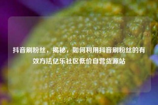 抖音刷粉丝，揭秘，如何利用抖音刷粉丝的有效方法亿乐社区低价自营货源站